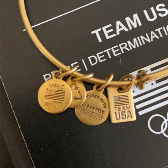 Alex and Ani Team USA Ice Skate - Picture 3 of 4